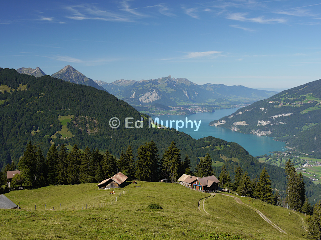 The view of Lake Thun from Schönegg