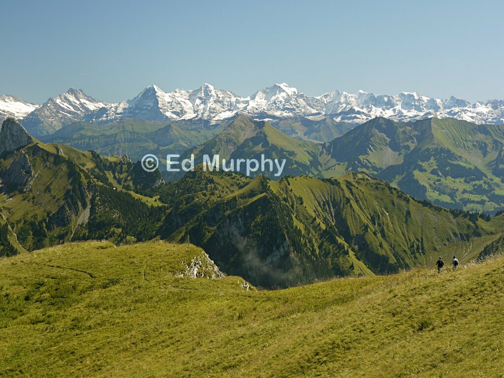 The grassy summit of the Gantrisch with its Bernese Oberland backdrop
