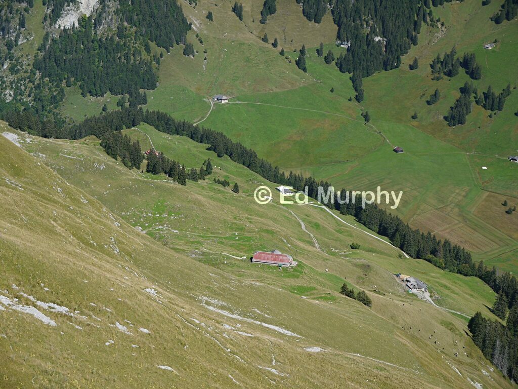 The Gros Mont alpine valley from Brenleire Dessus