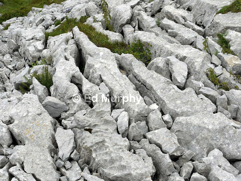 Schrattenkalk (eroded limestone) formations