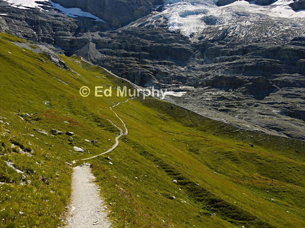 The tourist path from Kleine Scheidegg to Eigergletscher station