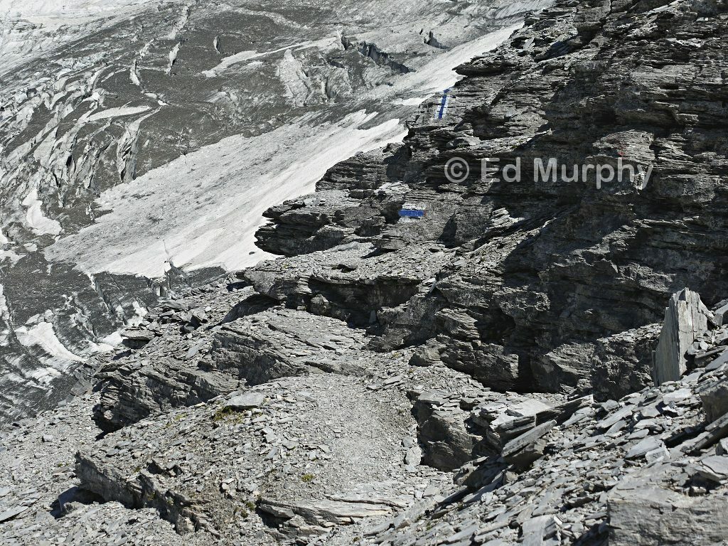 A rock step on the track to the Guggi Hut