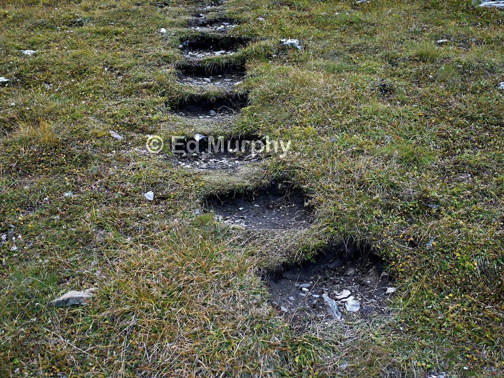 Steps make life easy in the Oldenalp grass