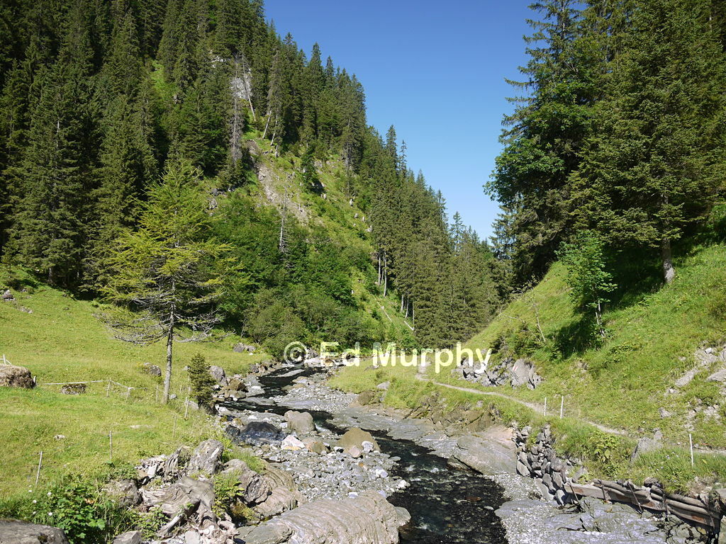 Alp Louwene and the Latrejebach stream