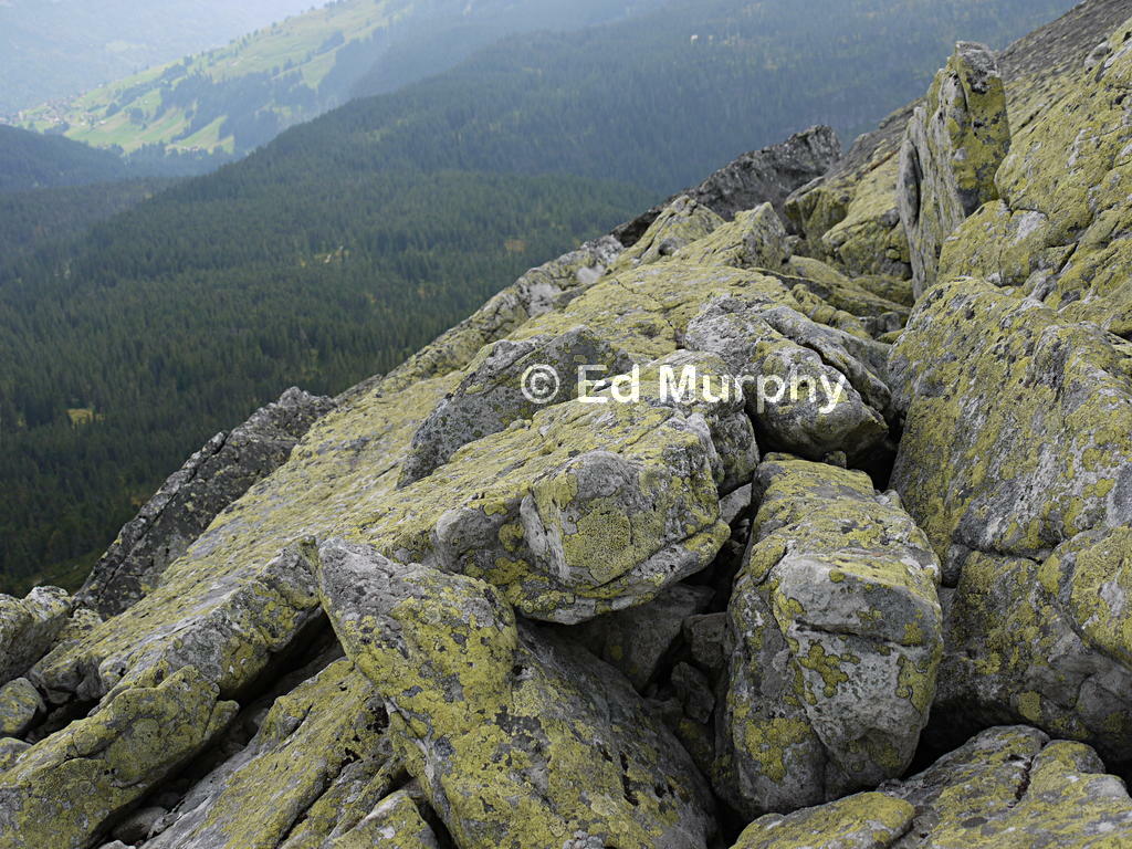 The Trogenhorn's boulder pile summit