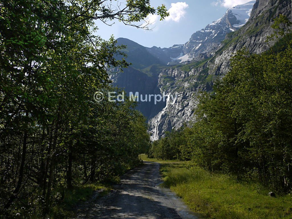 The track along the valley floor in the Gasterntal