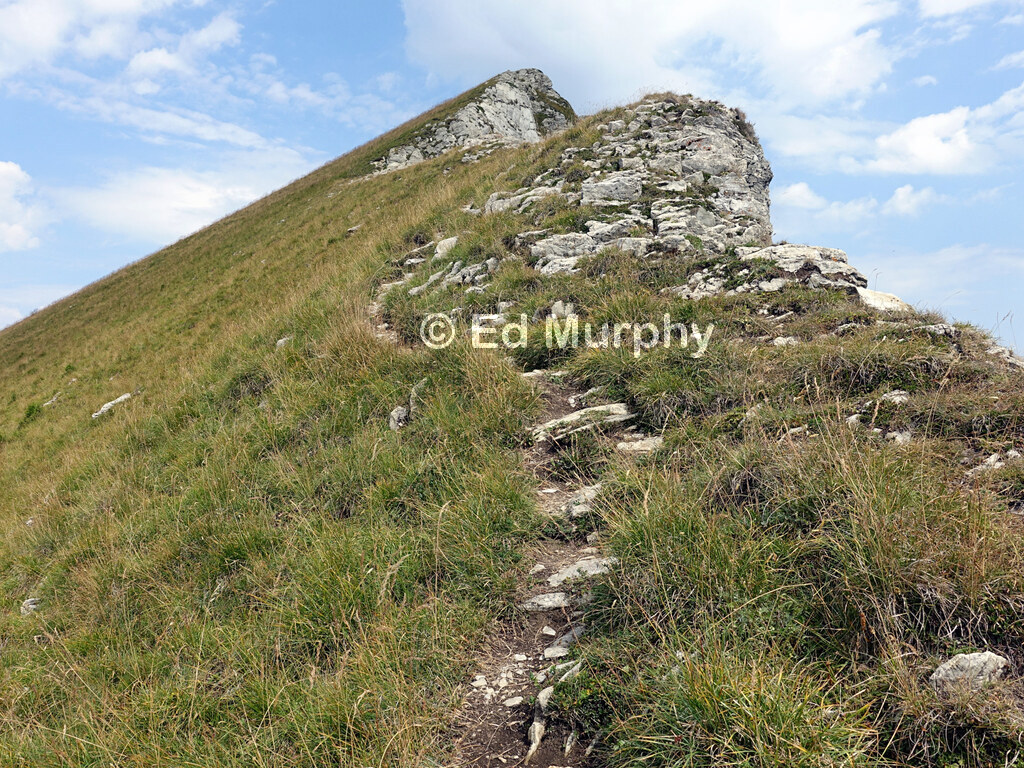 The track nearing the summit of the Widdergalm